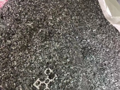 現場實（shí）拍